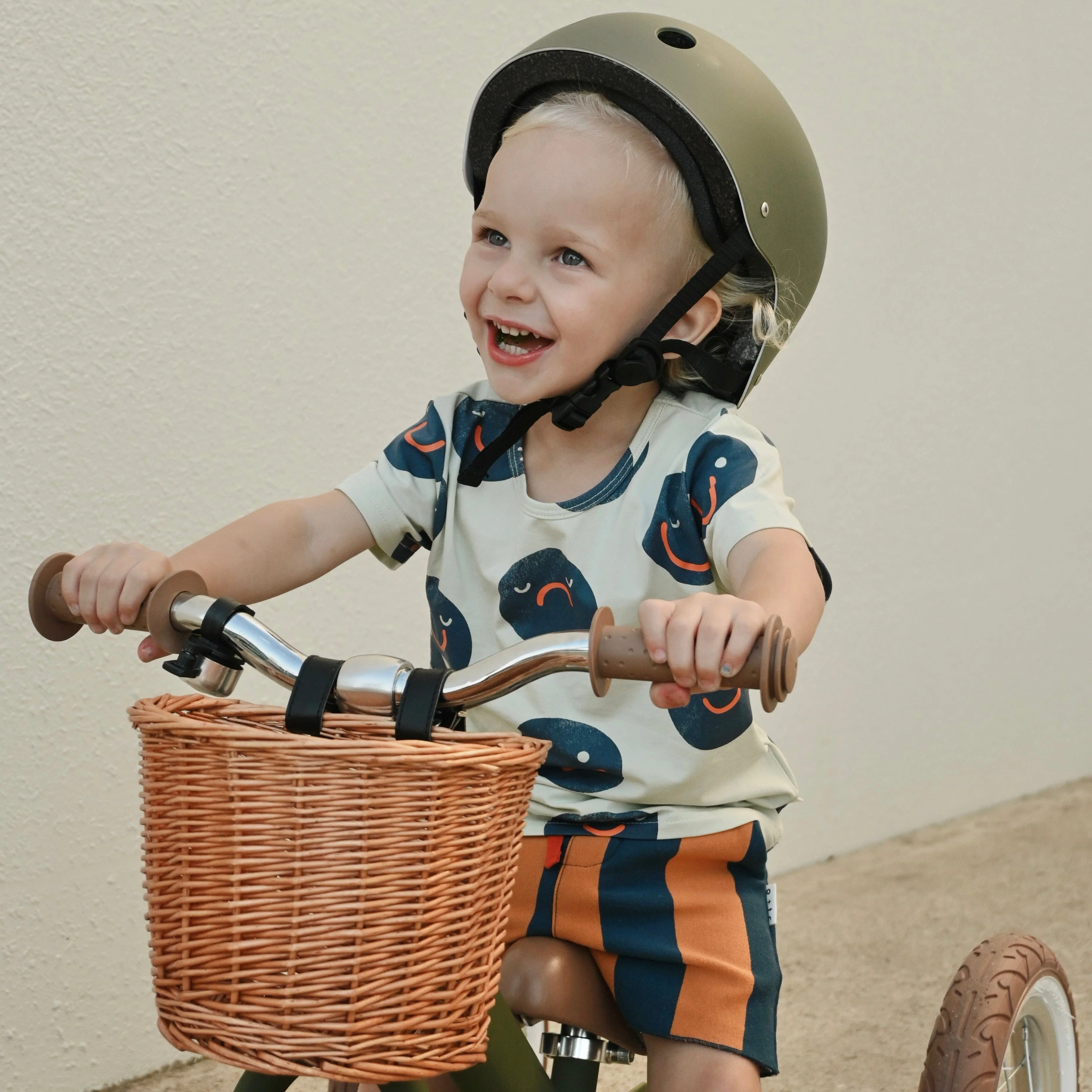 2 in 1 Steel Trike/Balance Bike (incl. wicker basket) - Image 39