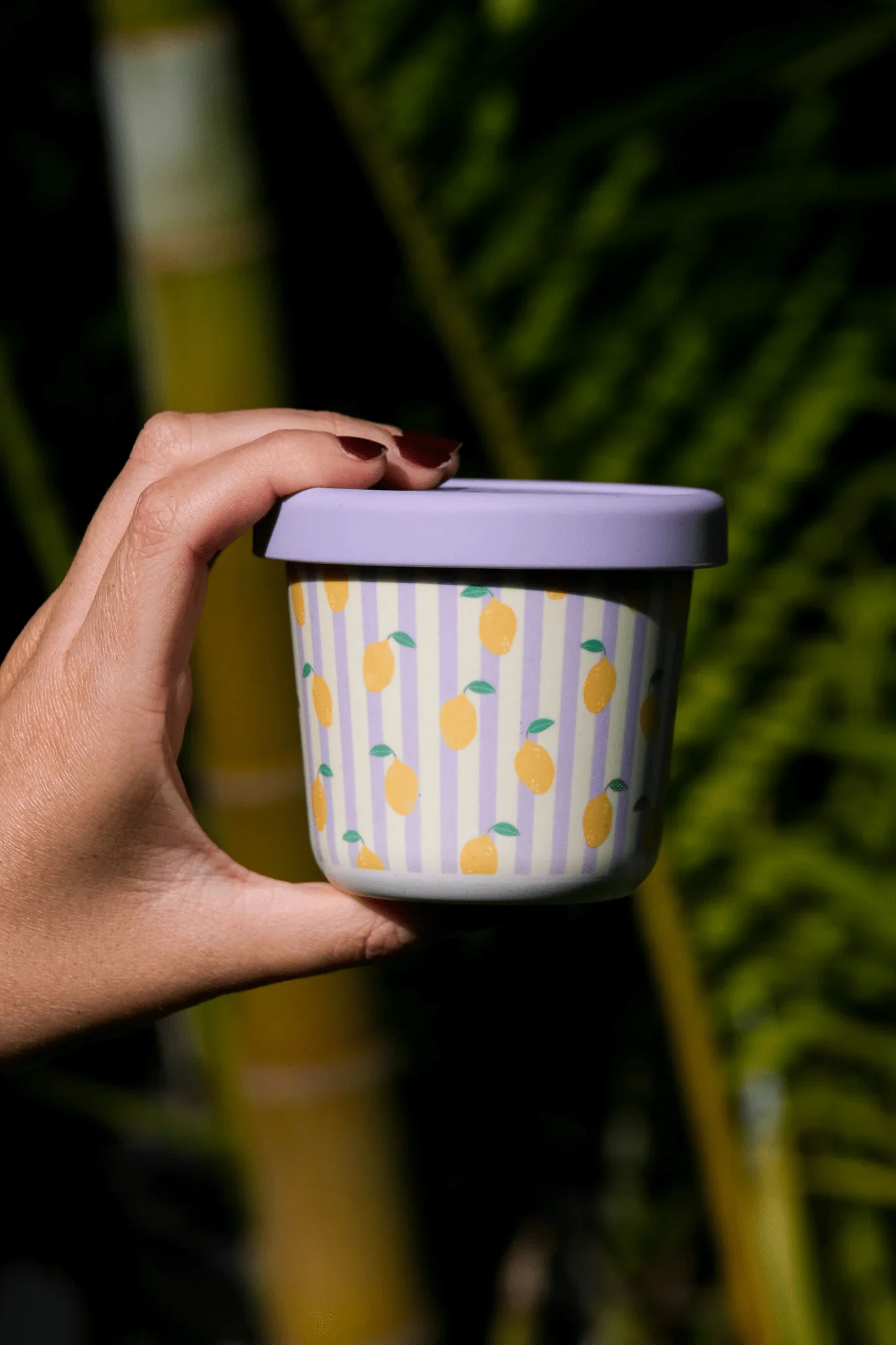 BBCINO Bamboo Snack Pot - 220ml - Image 8