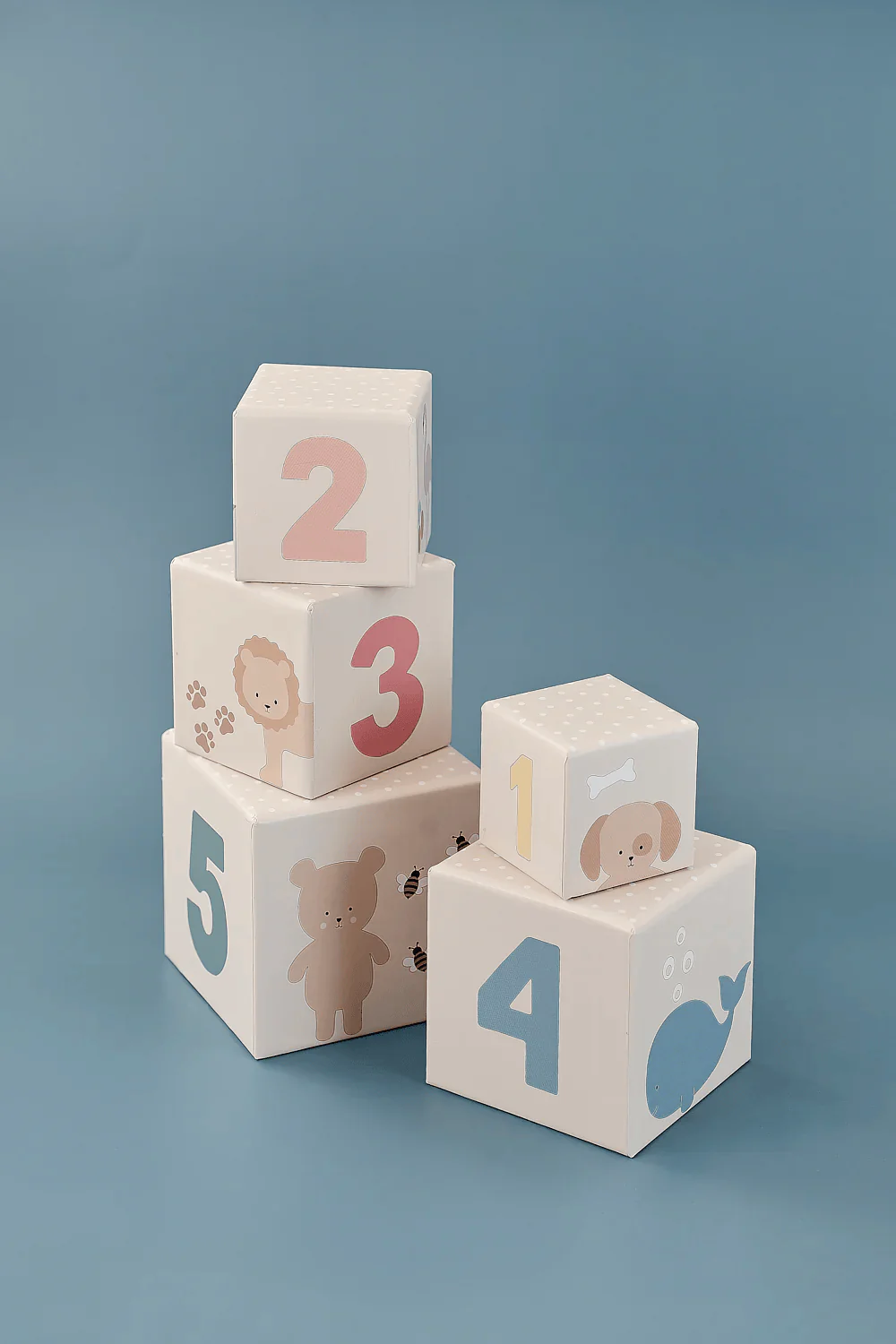 JaBaDaBaDo Play and Learn box 12-18 months - Image 3