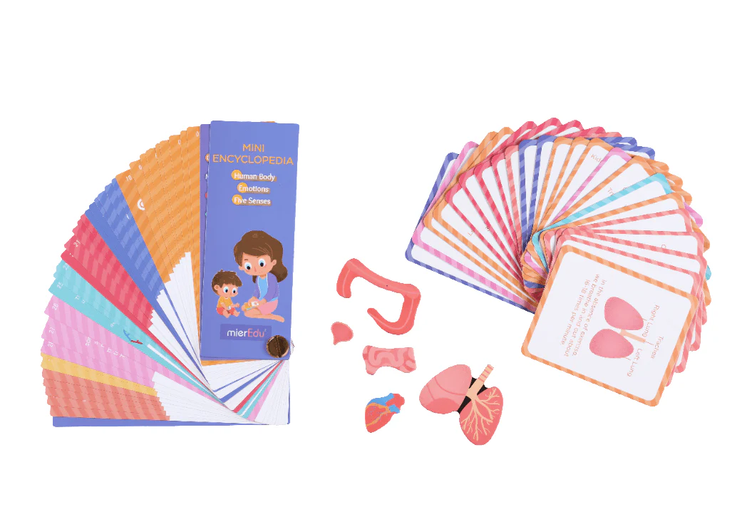 Mieredu Magnetic Kit - My Body + Emotion - Image 11