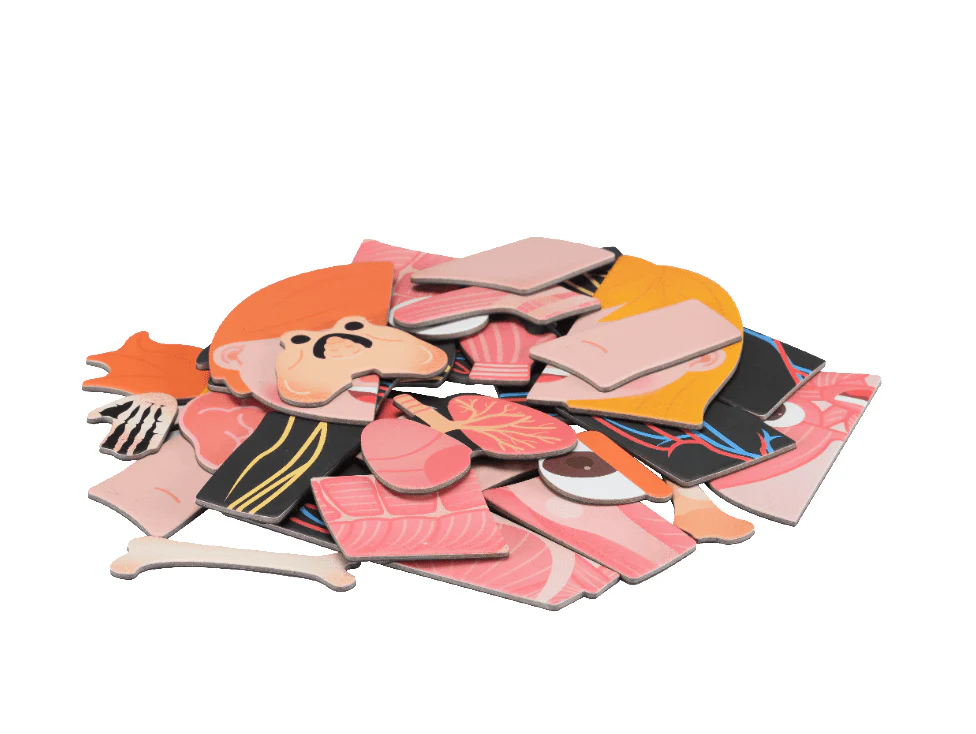 Mieredu Magnetic Kit - My Body + Emotion - Image 14