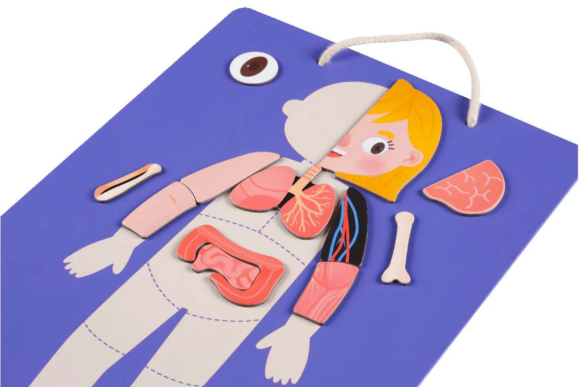 Mieredu Magnetic Kit - My Body + Emotion - Image 16