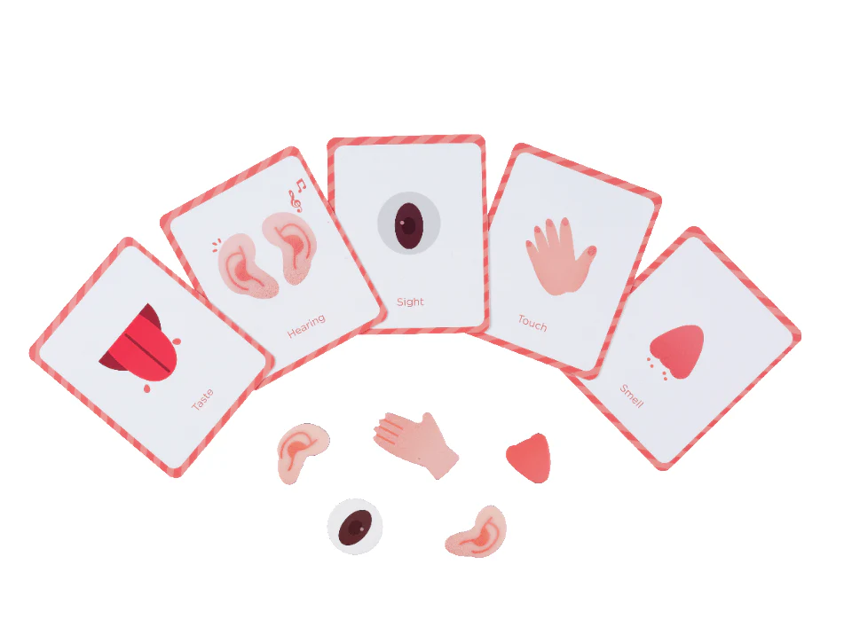 Mieredu Magnetic Kit - My Body + Emotion - Image 18