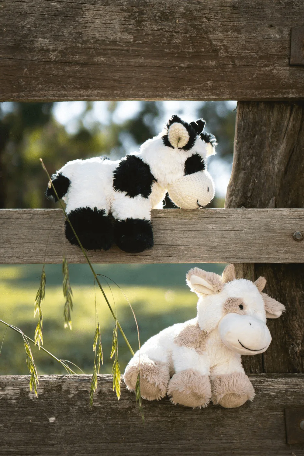 Nana Huchy Coco The Cow - Beige - Image 3