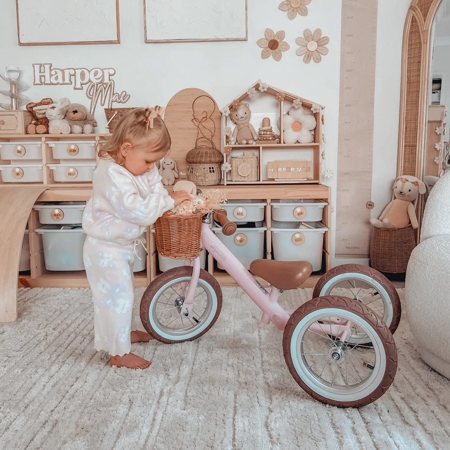 Steel 2 in 1 Trike with Carry Strap Bundle - Image 23