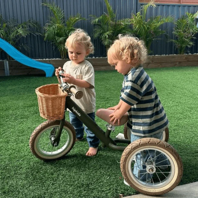 Steel 2 in 1 Trike with Carry Strap Bundle - Image 31
