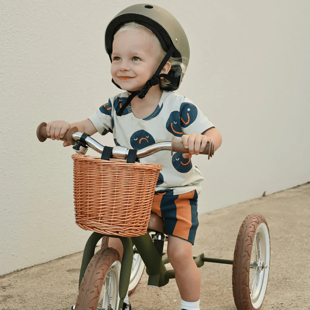 Steel 2 in 1 Trike with Carry Strap Bundle - Image 5