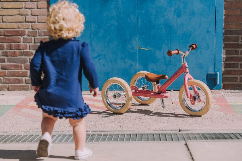 Vintage Trybike﻿ - Image 19