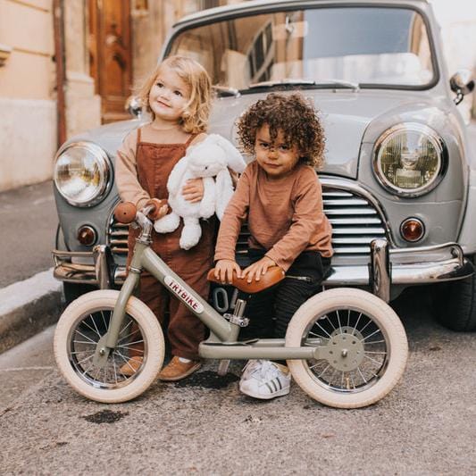 Vintage Trybike﻿ - Image 22