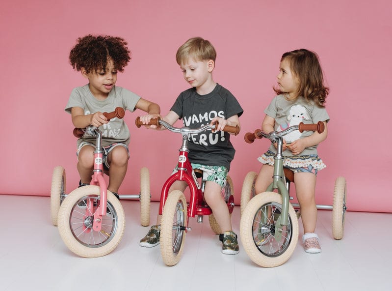 Vintage Trybike﻿ - Image 31